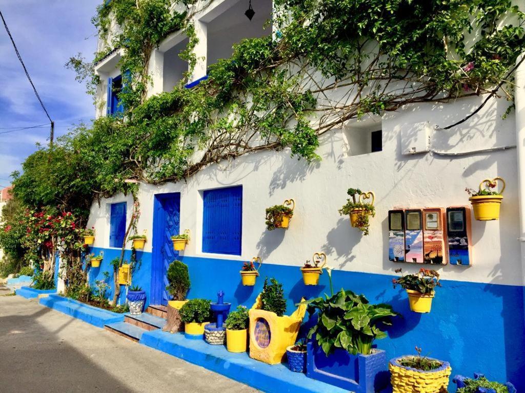 Chez Souad Daire Oualidia Oda fotoğraf