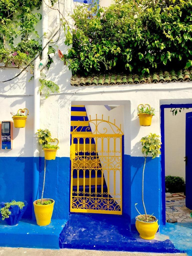 Chez Souad Daire Oualidia Oda fotoğraf