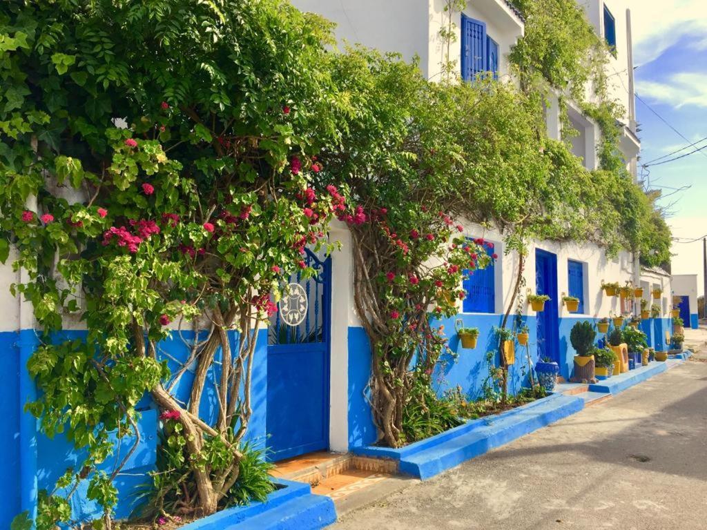 Chez Souad Daire Oualidia Oda fotoğraf